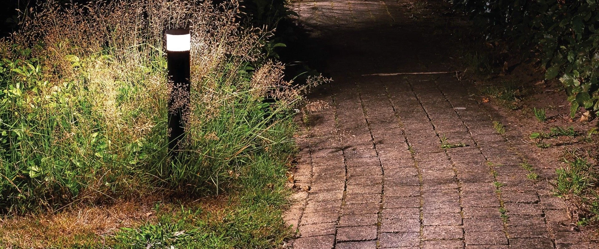 Suslight Sus Sense Black 2.5W 24V - Afbeelding 3